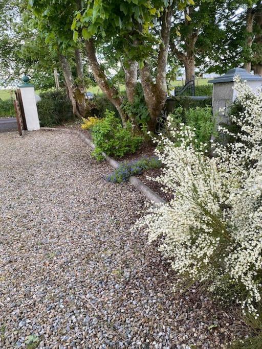 Breathnach Cottage Annex Knockleagha Ballina F26 D7E2 Kültér fotó